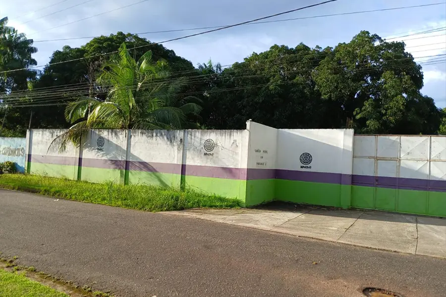 planta whaka brasil